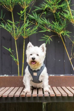 FuzzYard Life Corduroy Step In Harness - Slate Grey