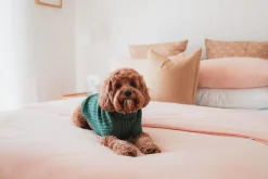 FuzzYard Life Knitted Sweater - Myrtle Green