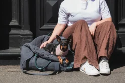 FuzzYard Life Multipurpose Carrier & Car Seat - Slate Grey