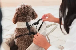 FuzzYard Life Multipurpose Carrier & Car Seat - Sandstone