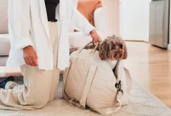 FuzzYard Life Multipurpose Carrier & Car Seat - Sandstone