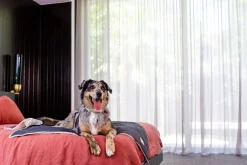 FuzzYard Life Pet Blanket - Slate Grey