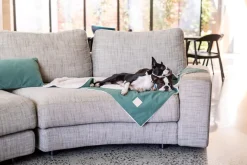 FuzzYard Life Pet Blanket - Myrtle Green