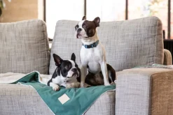 FuzzYard Life Pet Blanket - Myrtle Green