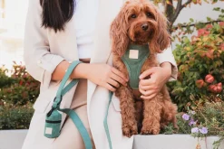 FuzzYard Life Poop Bag Dispenser - Myrtle Green