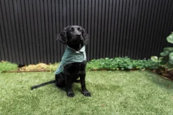 FuzzYard Life Quilted Cotton Wrap Vest - Myrtle Green