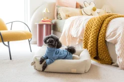 FuzzYard Life Soft Touch Pajamas - French Blue