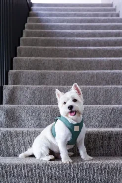 FuzzYard Life Step In Harness - Myrtle Green