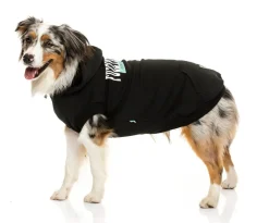 FuzzYard State Hoodie Black