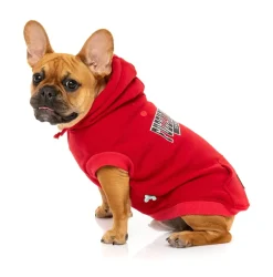 FuzzYard State Hoodie Red