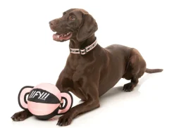 FY Active Ball Tug Dog Toy - Peach
