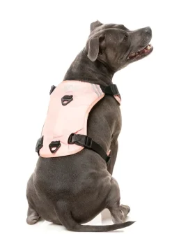 FY Active Go Harness - Peach