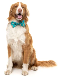 Gingerbread Man Bowtie