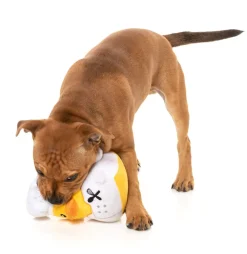 Gordon Quacksay - Dog Toy