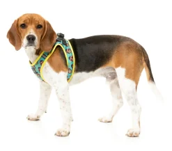 Gor-illz - Step In Harness