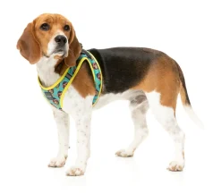 Gor-illz - Step In Harness