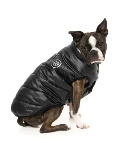 Hakuba Jacket - Black