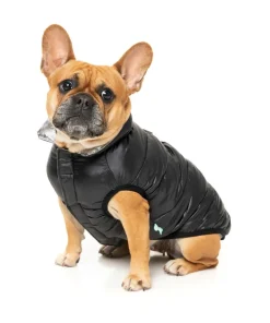 Hakuba Jacket - Black