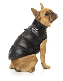 Harlem Puffer Jacket Black