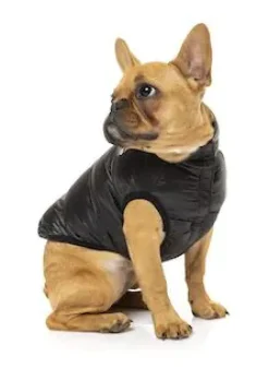 Harlem Puffer Jacket Black