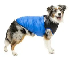 Harlem Puffer Jacket Blue