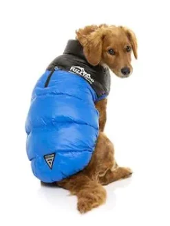 Harlem Puffer Jacket Blue