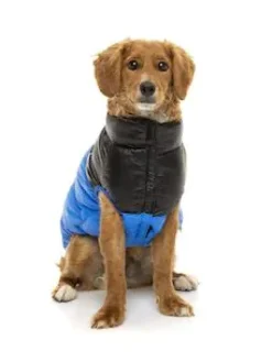 Harlem Puffer Jacket Blue