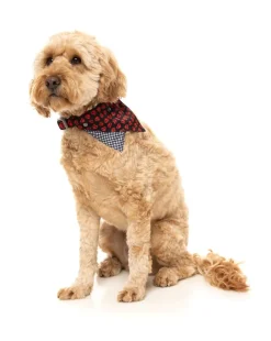 Heartbreaker - Bandana