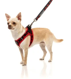 Heartbreaker Step In Harness