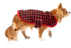 Heartbreaker Wrap Vest