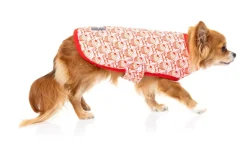 Hey There Sweetie Wrap Vest