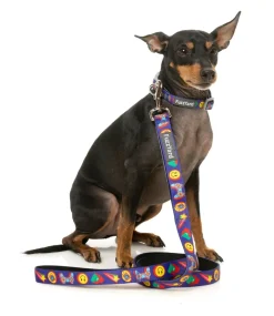 Highscore - Dog Leash