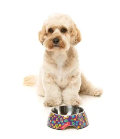 Highscore - Easy Feeder Bowl