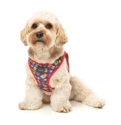 Highscore - Step In Harness