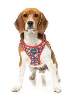 Highscore - Step In Harness