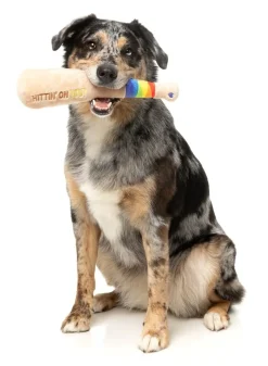 Hittin' On You Bat - Dog Toy