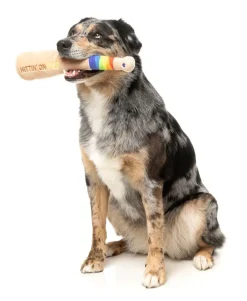 Hittin' On You Bat - Dog Toy