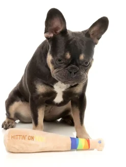 Hittin' On You Bat - Dog Toy