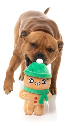 Holly Jolly Chillybread - Dog Toy