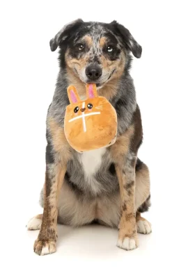 Hot Cross Bunny - Dog Toy