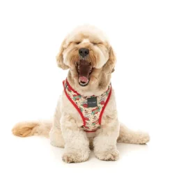 Ink'd Up - Step In Harness