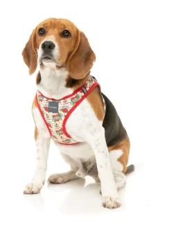 Ink'd Up - Step In Harness