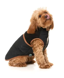 Ivanhoe Jacket - Black