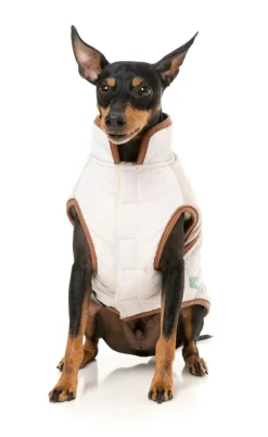 Ivanhoe Jacket - Ivory