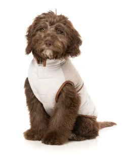 Ivanhoe Jacket - Ivory