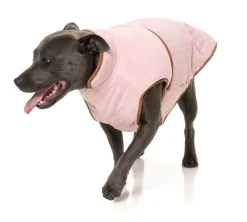 Ivanhoe Jacket - Pink