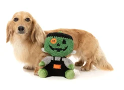 Jack-O Chan Frankenstein - Dog Toy