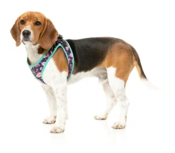 Jackpup - Step In Harness