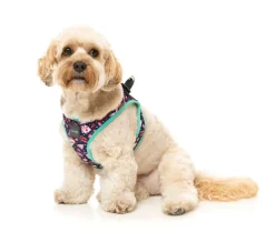 Jackpup - Step In Harness