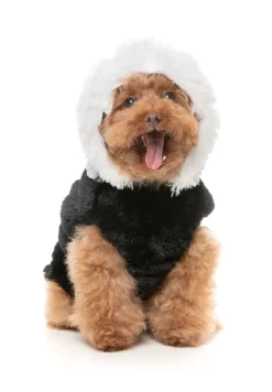 Jerry Spinefield - Fluffy Hoodie Costume